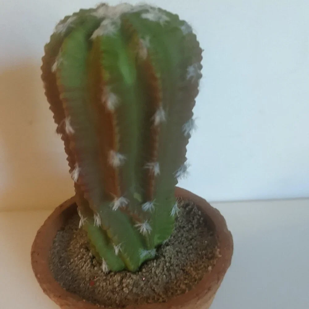 NWT Ashland Faux Cactus Rustic Clay Pot Floral Succulent Summer Desert Michaels